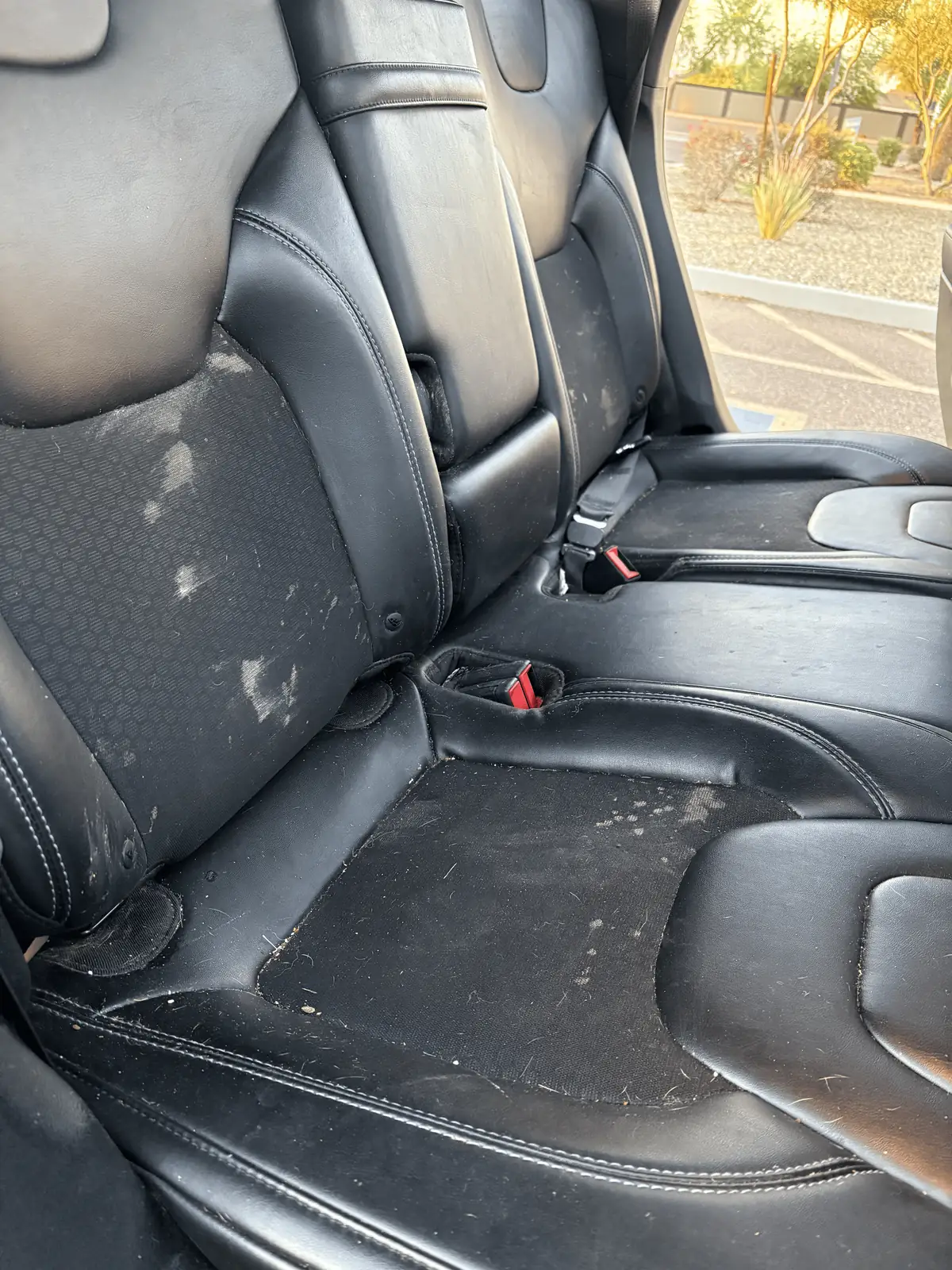 Backseat Before